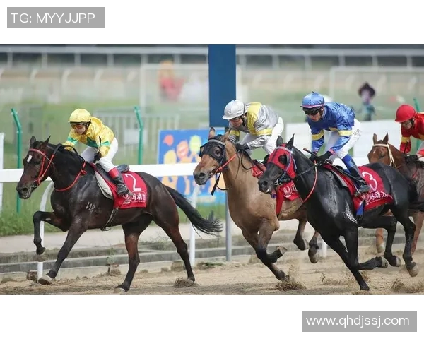 沈梓捷：从青年才俊到国际舞台的中国篮球新星成长之路